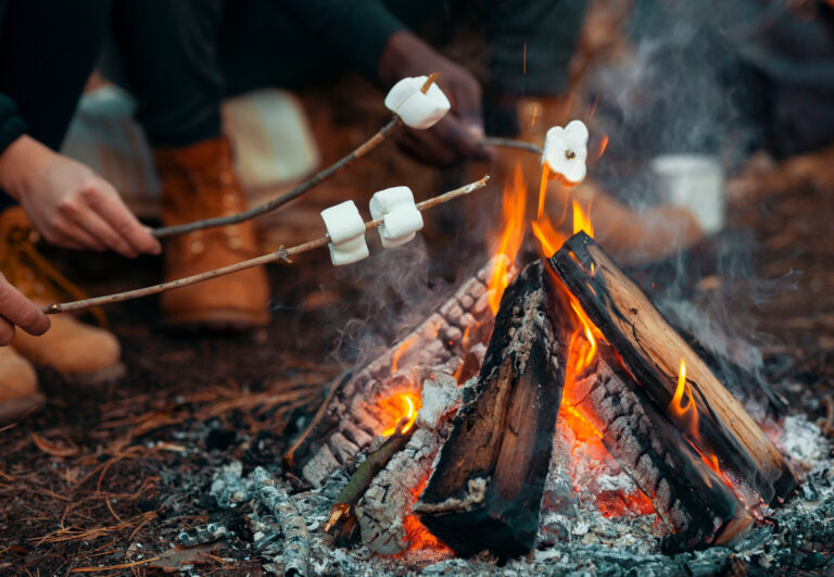 RV and Camping Fire Safety